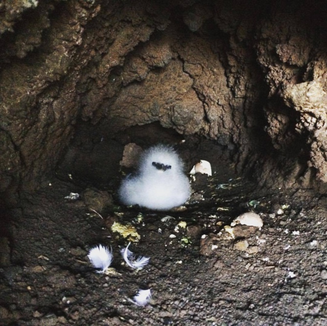 Crédit photo : Priscilla Thim Siong Crédit photo : Priscilla Thim Siong