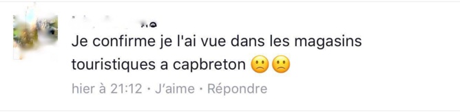 Crise Requin - Des souvenirs de la honte sur nos marchés ? Crise Requin - Des souvenirs de la honte sur nos marchés ?