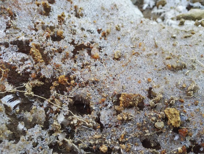 Du givre sur le sentier du Piton des Neiges !