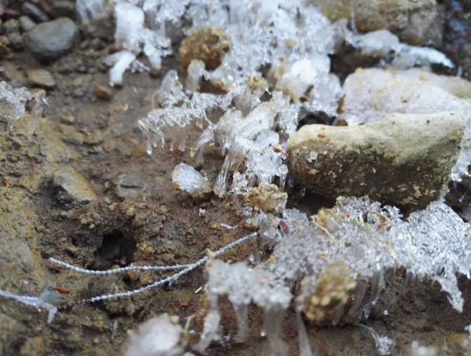 Du givre sur le sentier du Piton des Neiges !