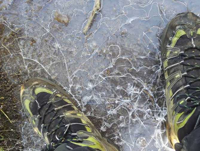 Du givre sur le sentier du Piton des Neiges ! Du givre sur le sentier du Piton des Neiges !