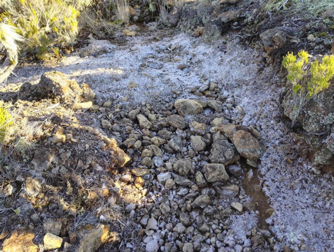 Du givre sur le sentier du Piton des Neiges !