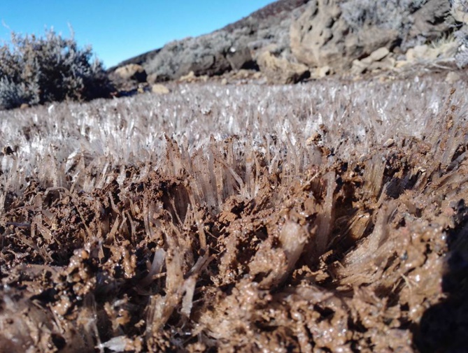 Du givre sur le sentier du Piton des Neiges !