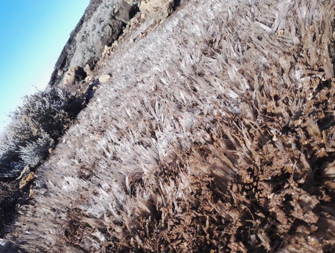 Du givre sur le sentier du Piton des Neiges !