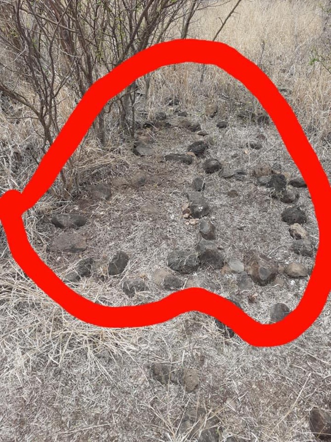 Un ancien cimetière d’esclaves à l’abandon ? Un ancien cimetière d’esclaves à l’abandon ?