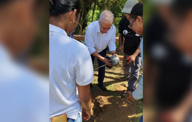 @SidelecRéunion @SidelecRéunion