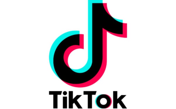 Les « applications récréatives », dont TikTok et Netflix, interdites sur les téléphones des fonctionnaires d'État en France